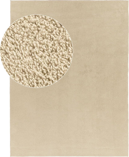 Tapis Salon Chambre Adulte Poils Ras Lavable En Machine Uni Moelleux, Dimension:160X220 Cm, Couleur:Beige Foncé