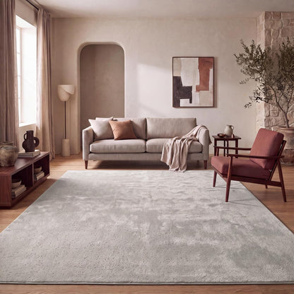 Tapis Salon Chambre Adulte Poils Ras Lavable En Machine Uni Moelleux, Dimension:160X220 Cm, Couleur:Beige Foncé