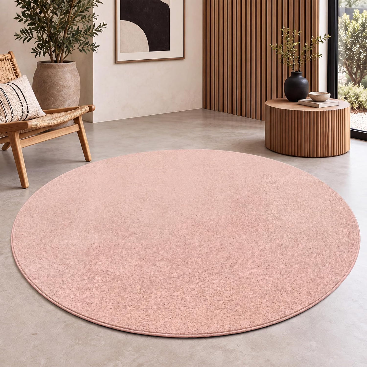 Tapis Salon Chambre Adulte Poils Ras Lavable En Machine Uni Moelleux, Dimension:160X220 Cm, Couleur:Beige Foncé