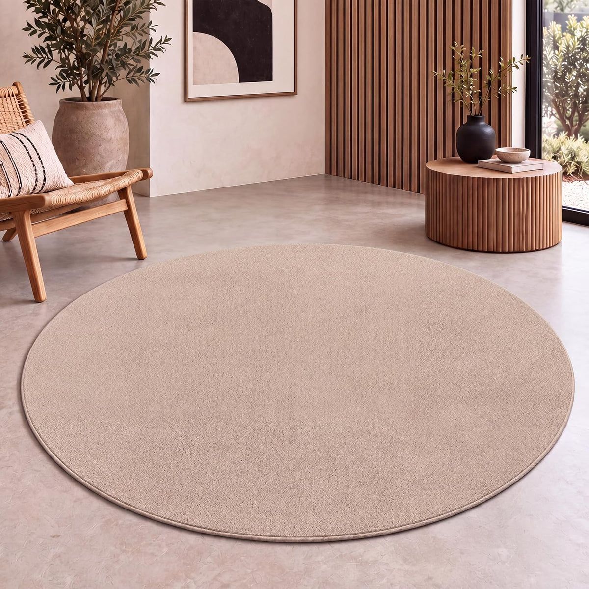 Tapis Salon Chambre Adulte Poils Ras Lavable En Machine Uni Moelleux, Dimension:160X220 Cm, Couleur:Beige Foncé