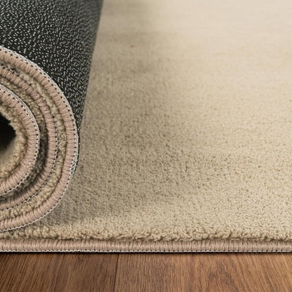 Tapis Salon Chambre Adulte Poils Ras Lavable En Machine Uni Moelleux, Dimension:160X220 Cm, Couleur:Beige Foncé