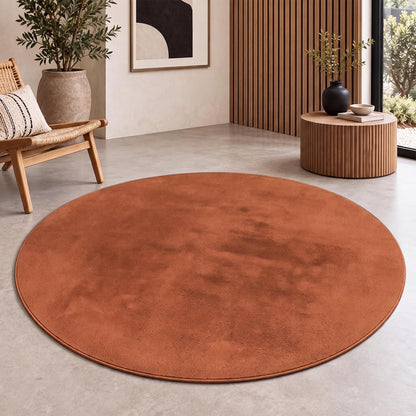 Tapis Salon Chambre Adulte Poils Ras Lavable En Machine Uni Moelleux, Dimension:160X220 Cm, Couleur:Beige Foncé