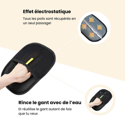 Gant Anti-Poils